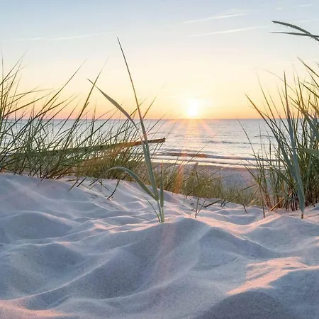 Apartment White Pearl 1.03