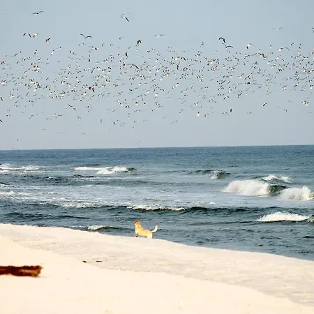 Lägenhet White Pearl 1.03