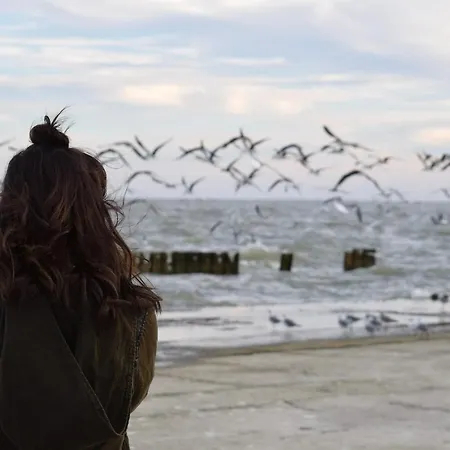 Apartment White Pearl 1.03 Timmendorfer Strand