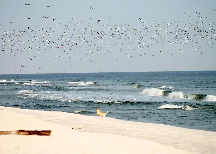 Lägenhet White Pearl 1.03